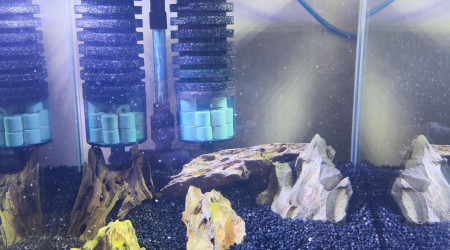 aquarium Futur 30l