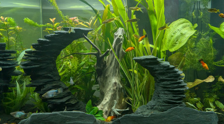 aquarium CIANO EMOTION PRO 60