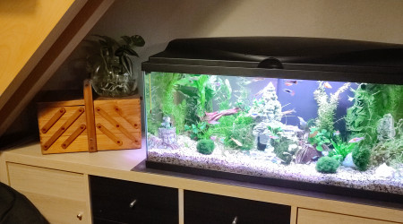 80 L