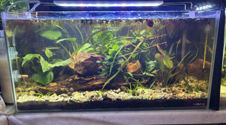 aquarium Tank AQUAEL 60 Diablo