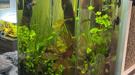 aquarium Tank Truffy 45L Rio