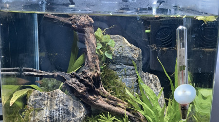 aquarium Crevettodrome