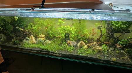 aquarium 450 L Communautaire
