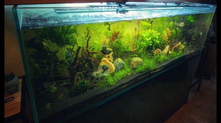 Enfin en place et peuplé !