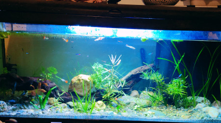 Silence, ça pousse...