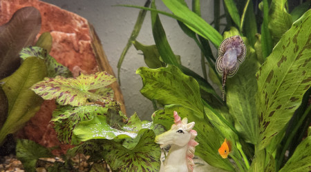 La déco qu'on ne choisit pas