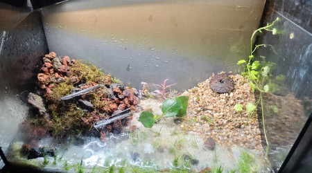 aquarium Aqua 2 test