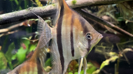 Mes bébés grandissent bien !