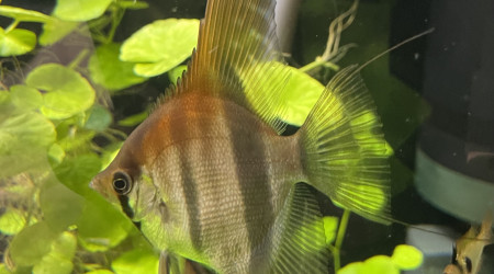 Mes bébés grandissent bien !