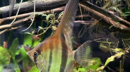 Mes bébés grandissent bien !
