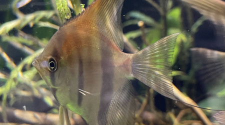 Mes bébés grandissent bien !