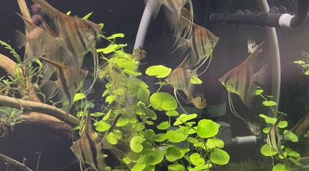 Mes bébés grandissent bien !