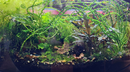 Ça ne se voit pas mais j'élague