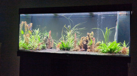 aquarium Juwel rio 450