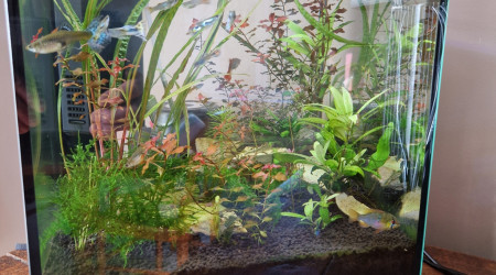 aquarium Superfish Qubiq 30