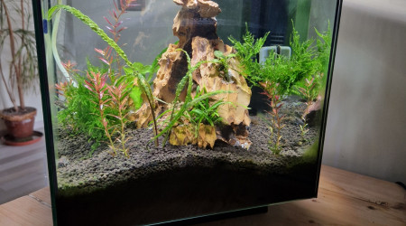aquarium Superfish Qubiq 30