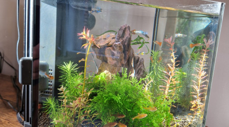aquarium Superfish Qubiq 15