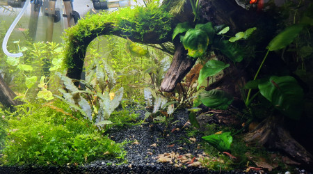 vitesse d'obturation