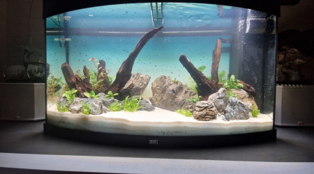 aquarium Vision 180
