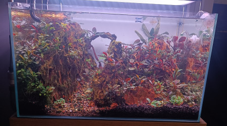 Mise à jour au 12/11