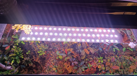 Mise à jour au 12/11