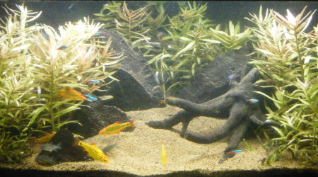 aquarium Pans de Travassac