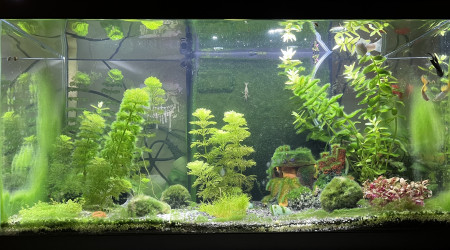 aquarium La Clairière Sous-Marine