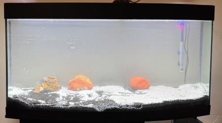 aquarium Juwel 260 Vision