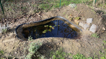 aquarium Mare naturelle