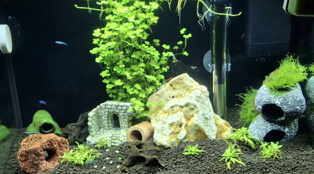 aquarium Nano 24 litres