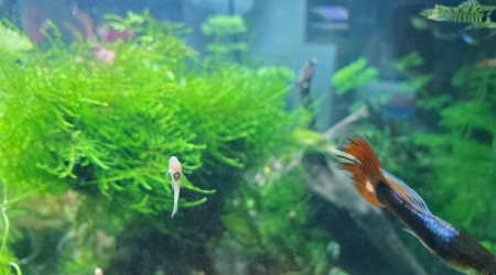 Notre nouveau nettoyeur de vitre