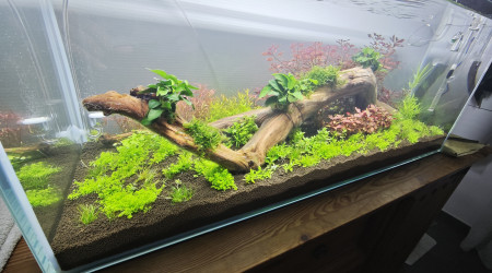 aquarium Centsoixante