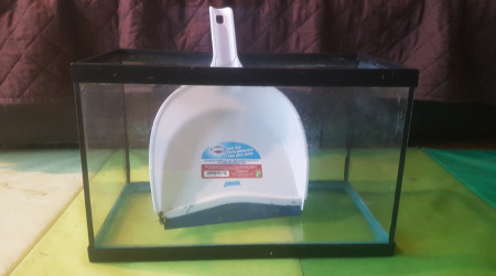aquarium 20L à l arrêt