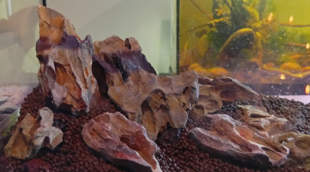 aquarium Pierre du Dragon