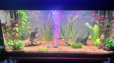 aquarium Premier 180l