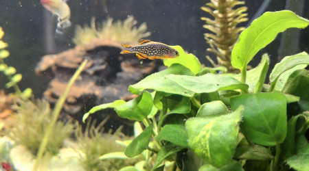 Chantier du changement de sol terminé