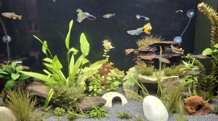 Chantier du changement de sol terminé