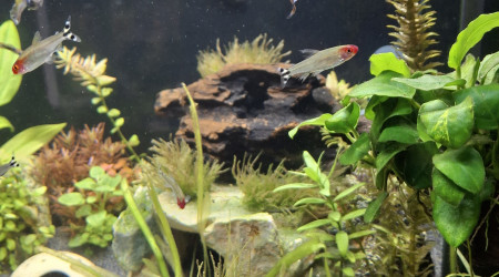 Chantier du changement de sol terminé