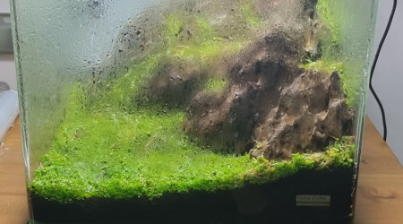 aquarium nano 30l hardscape