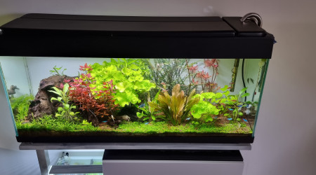 aquarium 120l v2