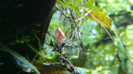 Modification de l'éclairage.