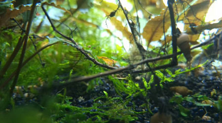 Modification de l'éclairage.