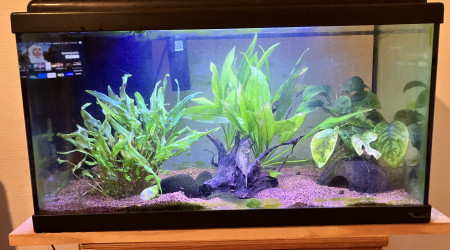 aquarium 60L Led