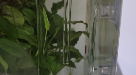 Apport CO2 journalière dans un nano cube