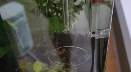 Apport CO2 journalière dans un nano cube