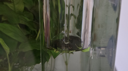 Apport CO2 journalière dans un nano cube