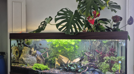 Le bac aujourd'hui !