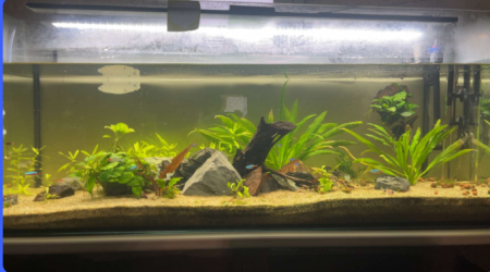 aquarium aquariums 300 L