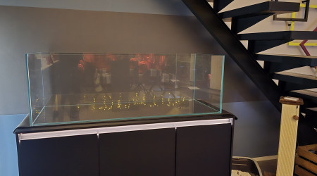 Le bébé est arrivé..