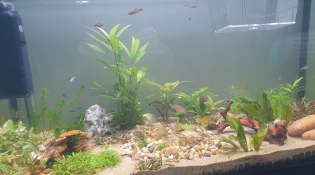 aquarium 90L